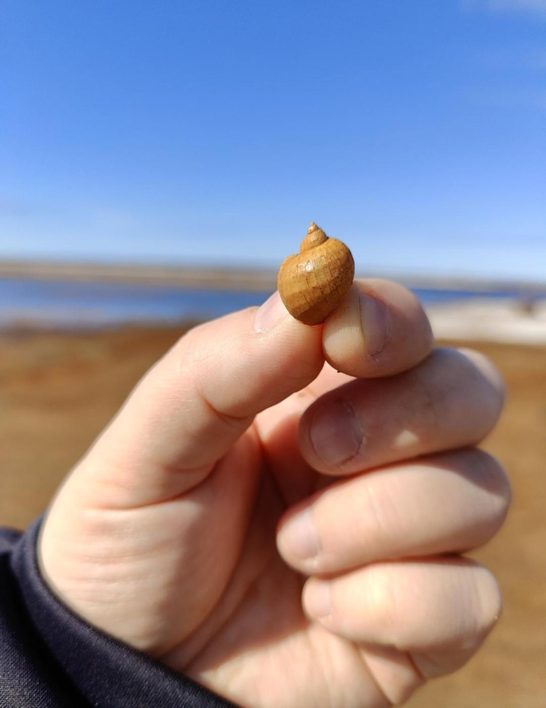 Marina Mermaid Seaview - Uusi Lumoava Merinaekoealahuoneisto, Sisaeltaeae Liinavaatteet Kalajoki Luaran gambar